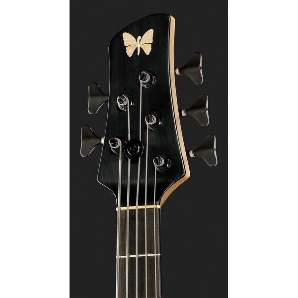 Fodera Yin Yang 5 Std. Blister Maple