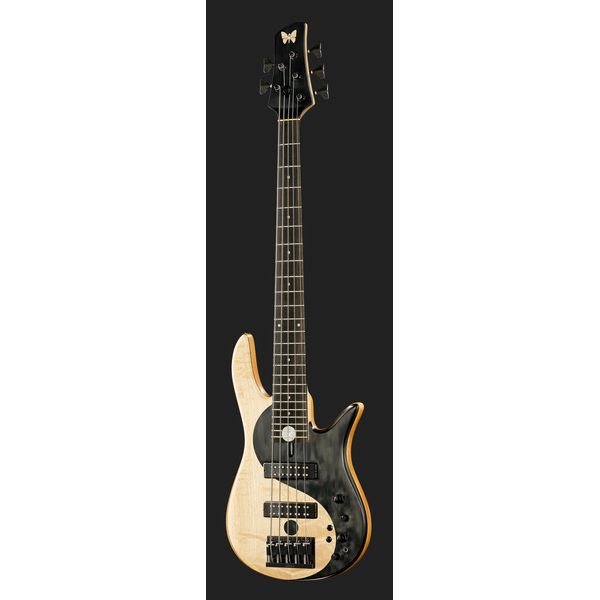 Fodera Yin Yang 5 Std. Blister Maple
