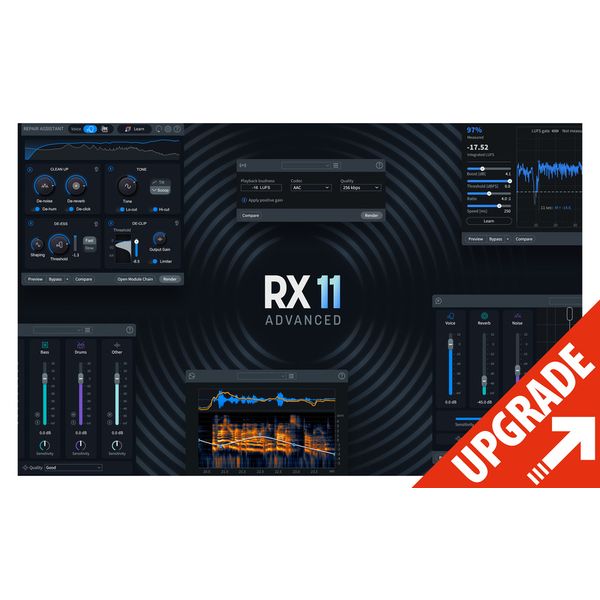 iZotope RX 11 Adv Upgrade RX Adv/PPS