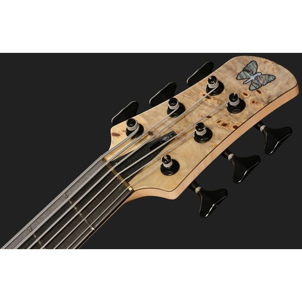 Fodera Monarch Custom 6 Buckeye