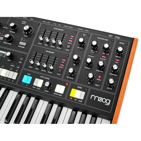 Moog Muse