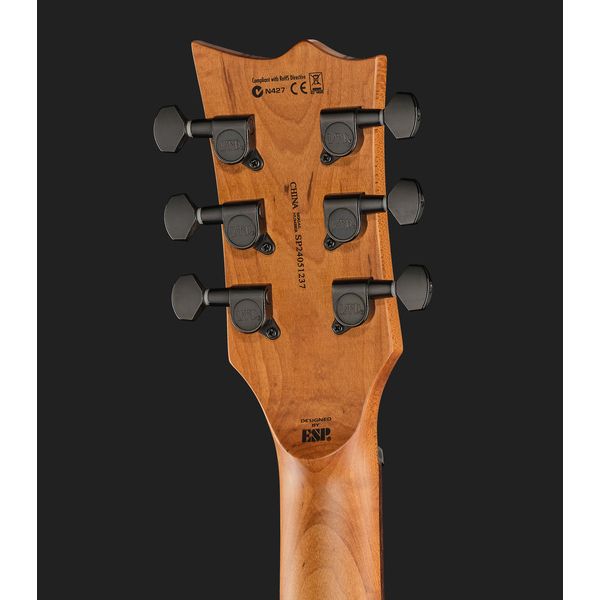 ESP LTD EC-200DX BLB
