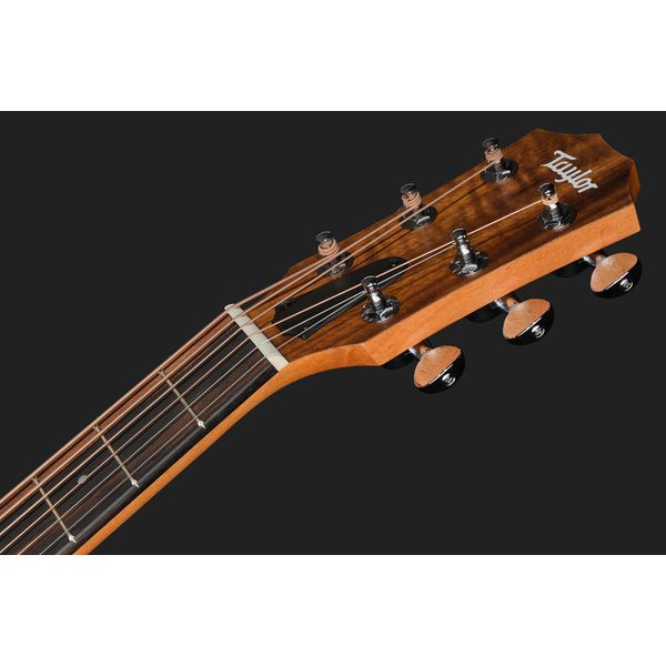 Taylor GS Mini Sapele Torrefied Top