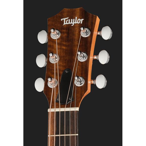 Taylor GS Mini Sapele Torrefied Top
