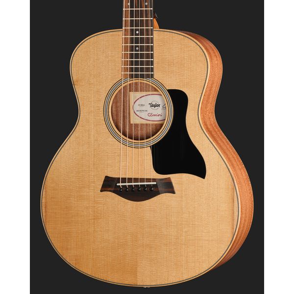 Taylor GS Mini Sapele Torrefied Top