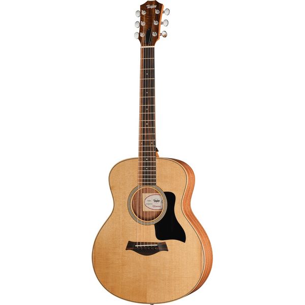 Taylor GS Mini Sapele Torrefied Top