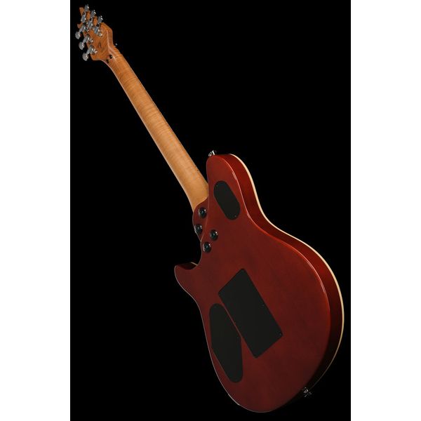 Evh Wolfgang Special QM TigerEyeG