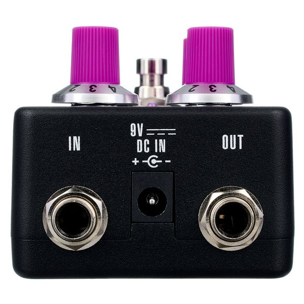 Fender Bassman Fuzz