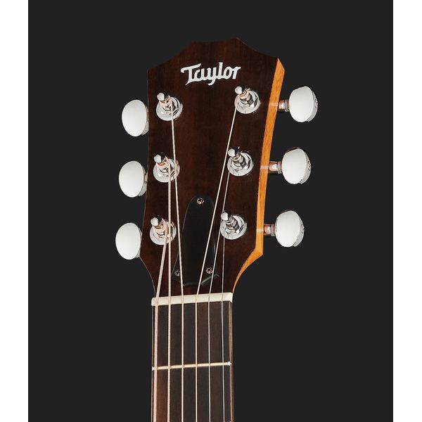 Taylor GS Mini-e Special Ed Dragon