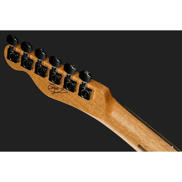 Fender Finneas Acous Tele CPF RW CF