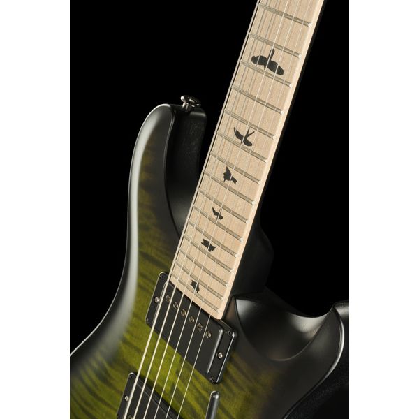 PRS CE 24 Dustie Waring Floyd ZX