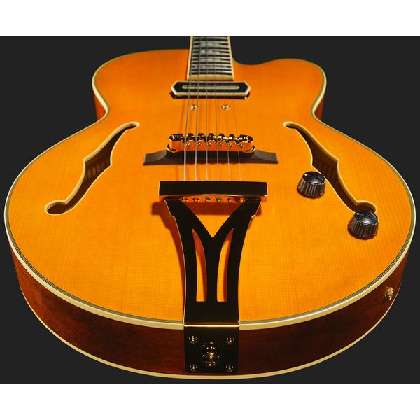 Ibanez PM3C-NAL Pat Metheny
