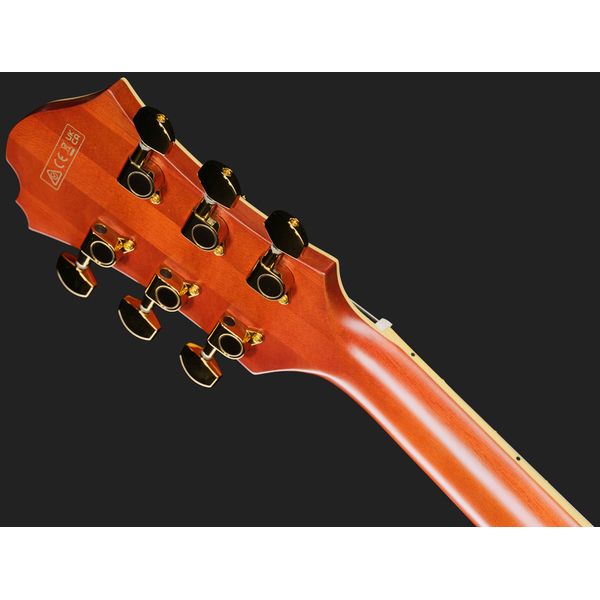 Ibanez PM3C-NAL Pat Metheny