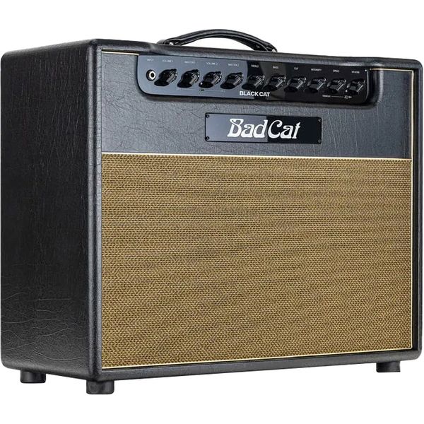 Bad Cat Black Cat 1x12 Combo