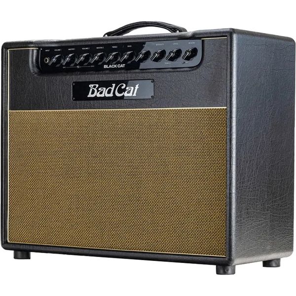 Bad Cat Black Cat 1x12 Combo