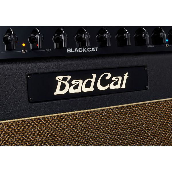 Bad Cat Black Cat 1x12 Combo