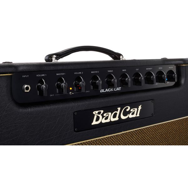 Bad Cat Black Cat 1x12 Combo