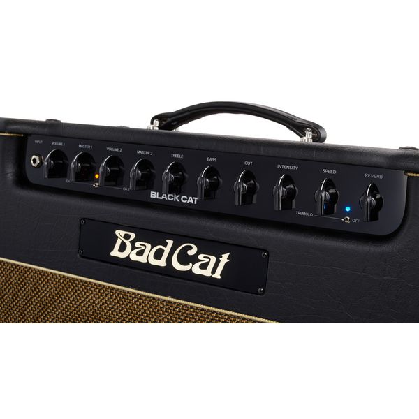 Bad Cat Black Cat 1x12 Combo