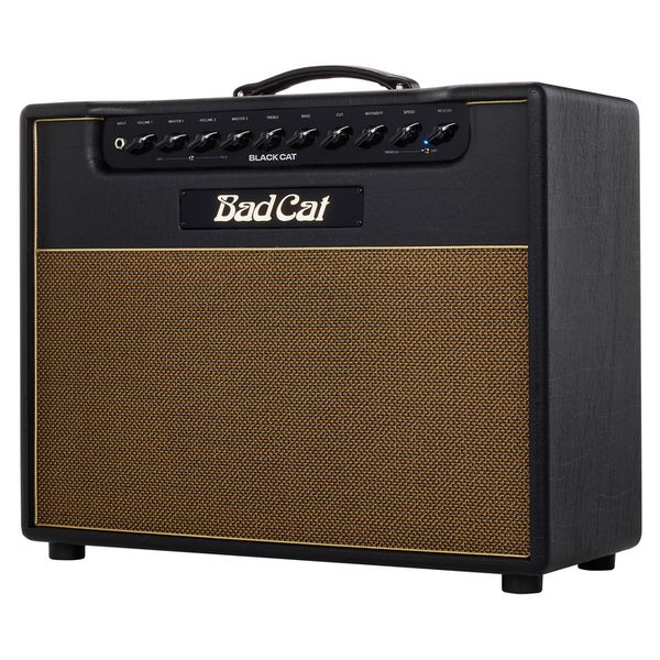 Bad Cat Black Cat 1x12 Combo