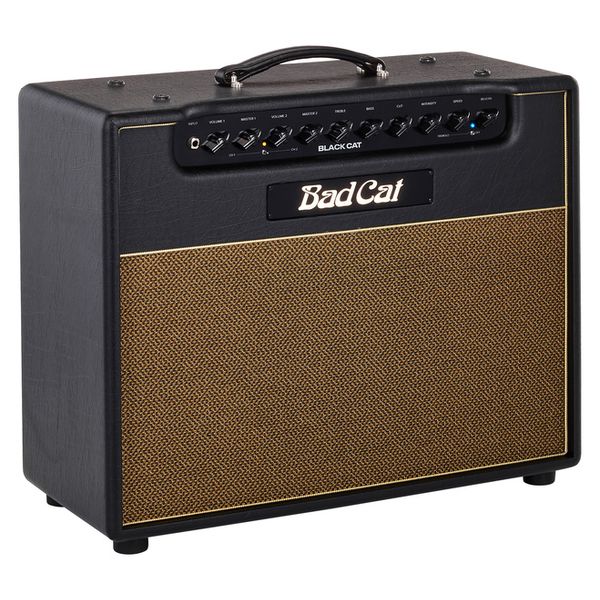 Bad Cat Black Cat 1x12 Combo