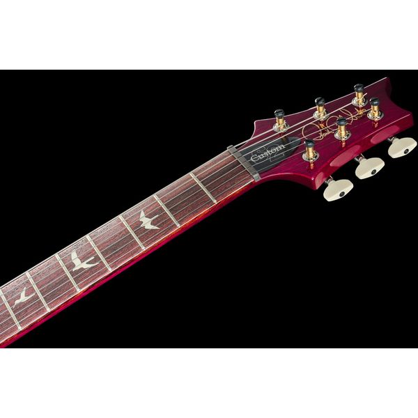 PRS S2 Custom 24-08 FGBPB