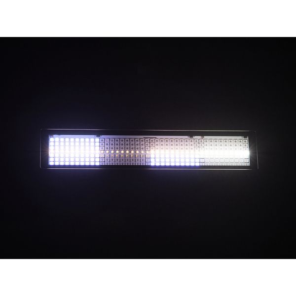 Eurolite LED IP PIX Strobe RGB CW+WW