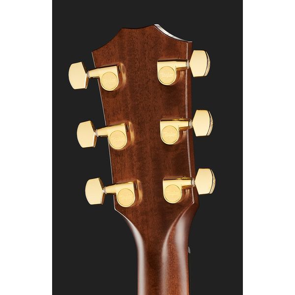 Taylor 312ce 50th Anniversary