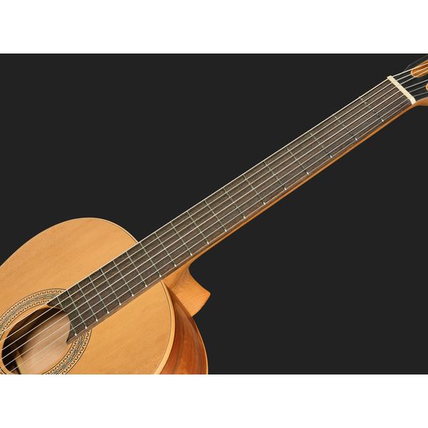 Höfner HLE-TIZ24 Cedar/Tineo
