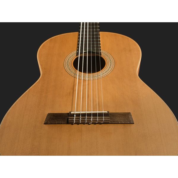 Höfner HLE-TIZ24 Cedar/Tineo