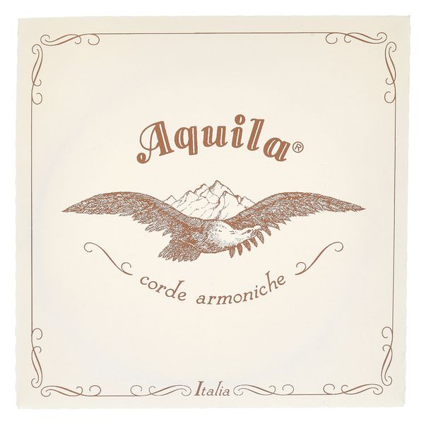 Aquila 104D140 Wound NG Lute String