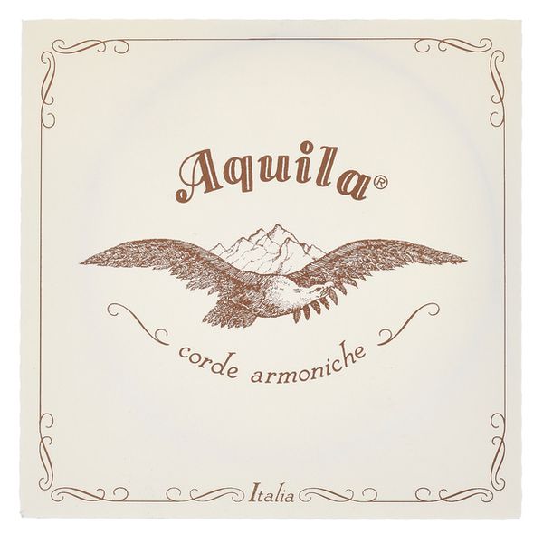 Aquila 120D140 Wound NG Lute String