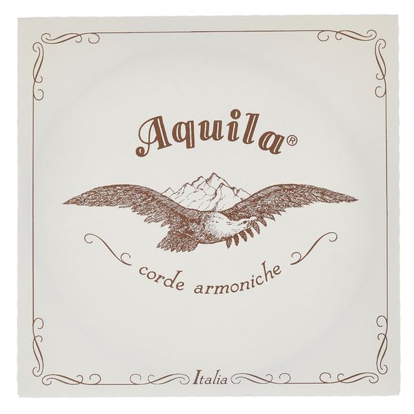 Aquila 136D140 Wound NG Lute String