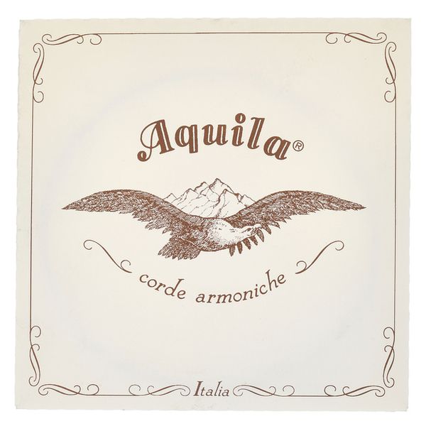 Aquila 145D140 Wound NG Lute String