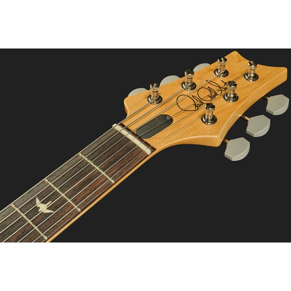 PRS JM Silver Sky Maple VB