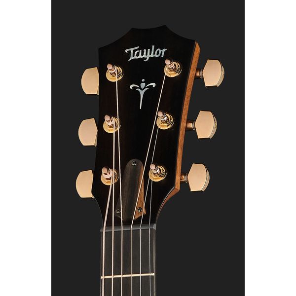 Taylor 724ce Gloss