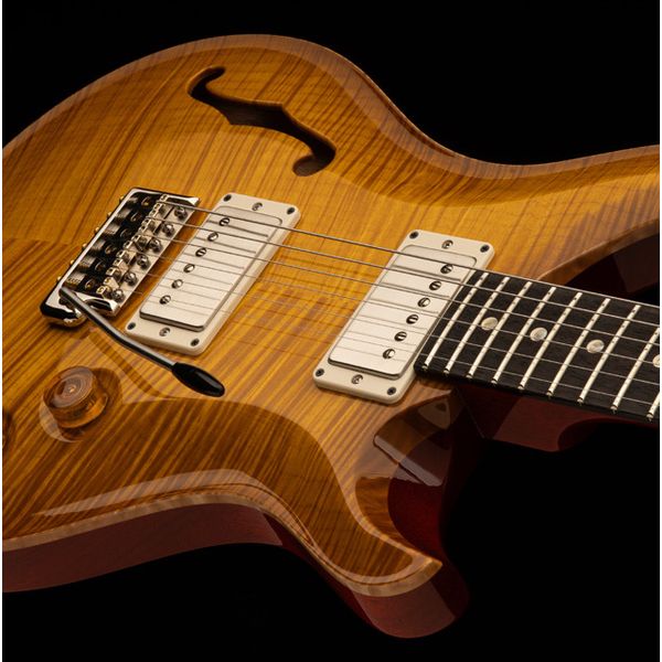 PRS DGT Semi-Hollow LTD