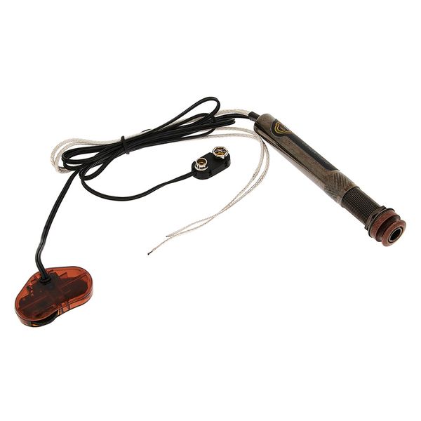 L.R.Baggs EAS SS Set