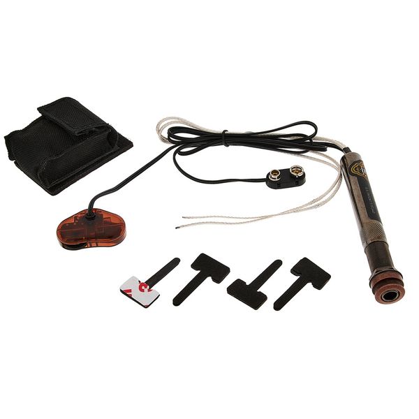 L.R.Baggs EAS SS Set