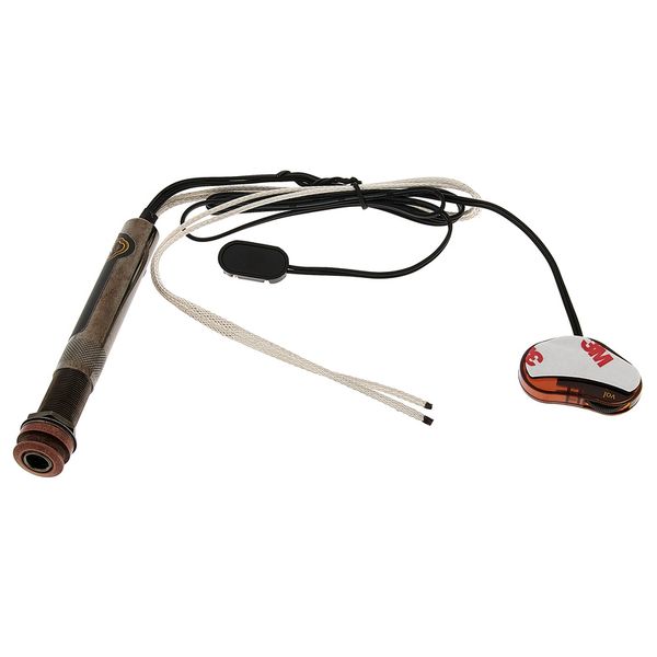 L.R.Baggs EAS SS Set