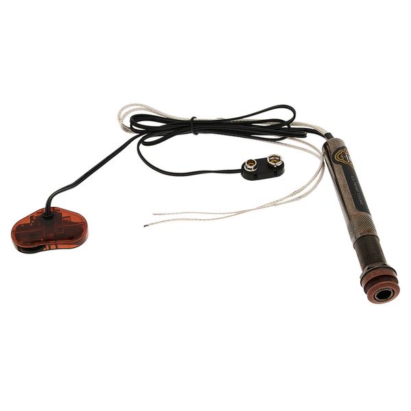 L.R.Baggs EAS SS Set