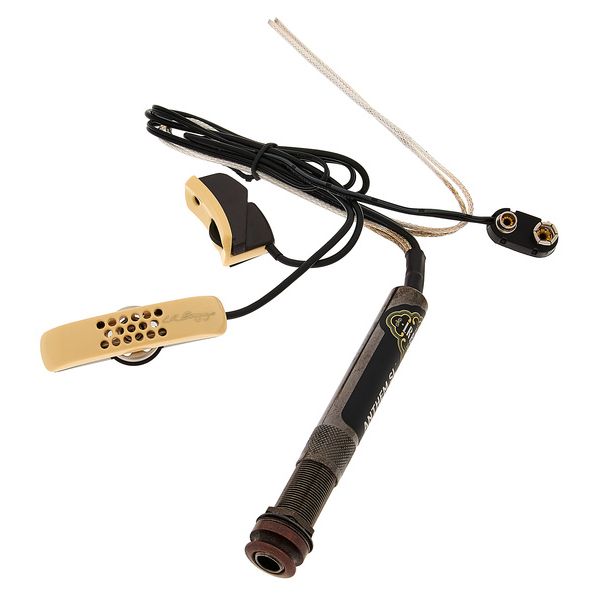L.R.Baggs Anthem SL/SS