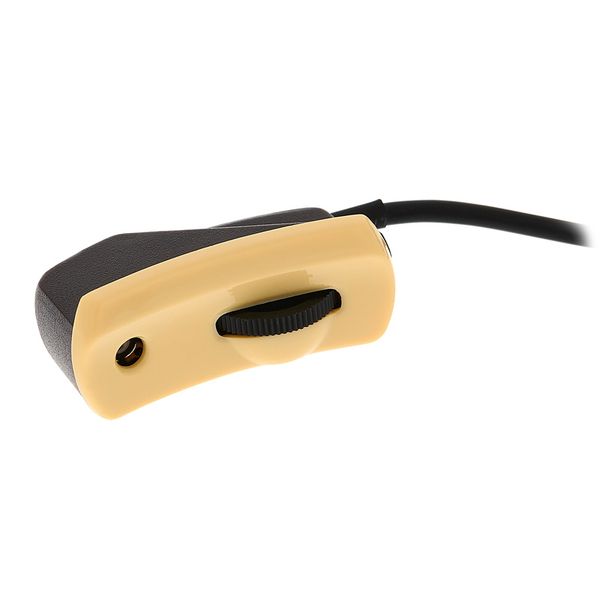 L.R.Baggs Anthem SL/SS