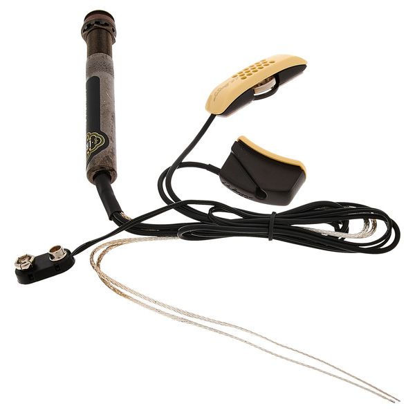 L.R.Baggs Anthem SL/SS