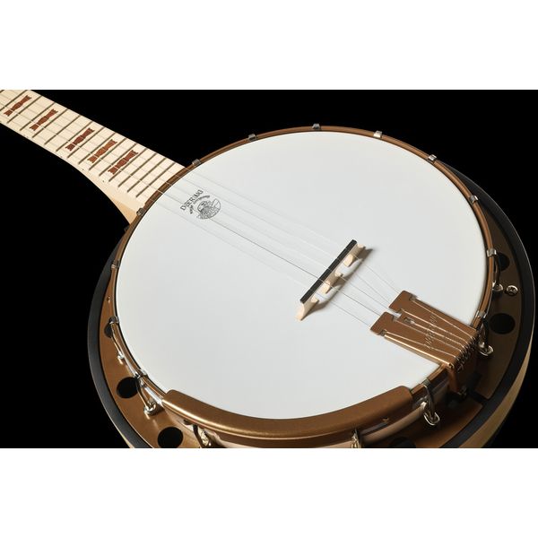 Deering Goodtime Special Deco Banjo