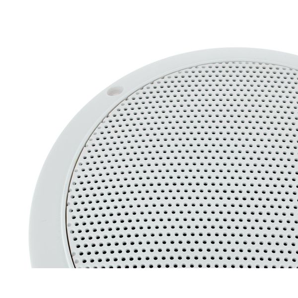 Visaton FR 16 WP CL 100 V