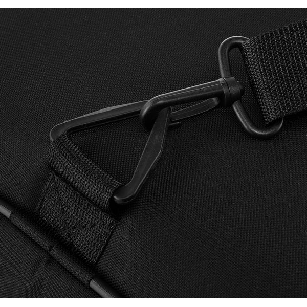 Thomann Arch Lute / Arciliuto Soft Bag