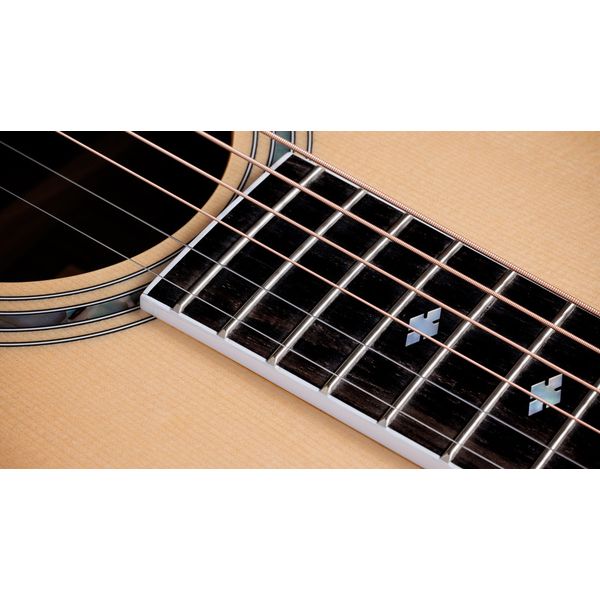 Taylor Legacy Edition 810e