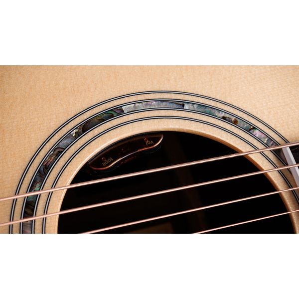 Taylor Legacy Edition 810e