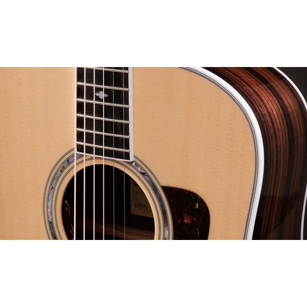 Taylor Legacy Edition 810e