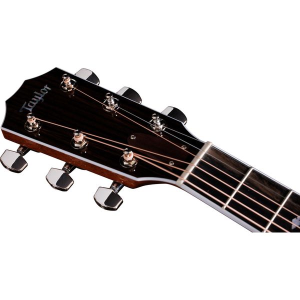 Taylor Legacy Edition 810e